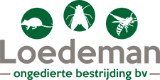 Loedeman Ongediertebestrijding logo